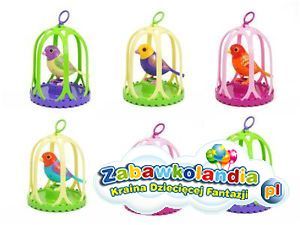 Powiększ