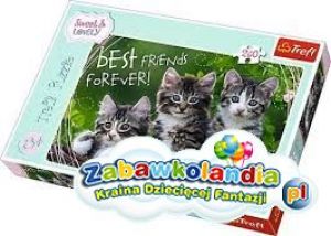 Powiększ