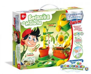 Powiększ