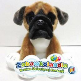 Powiększ