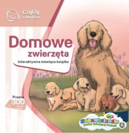 Powiększ