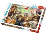 PUZZLE 260 KOTKI STADKO TREFL 13241